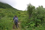 Bear Viewing Kodiak Island Alaska